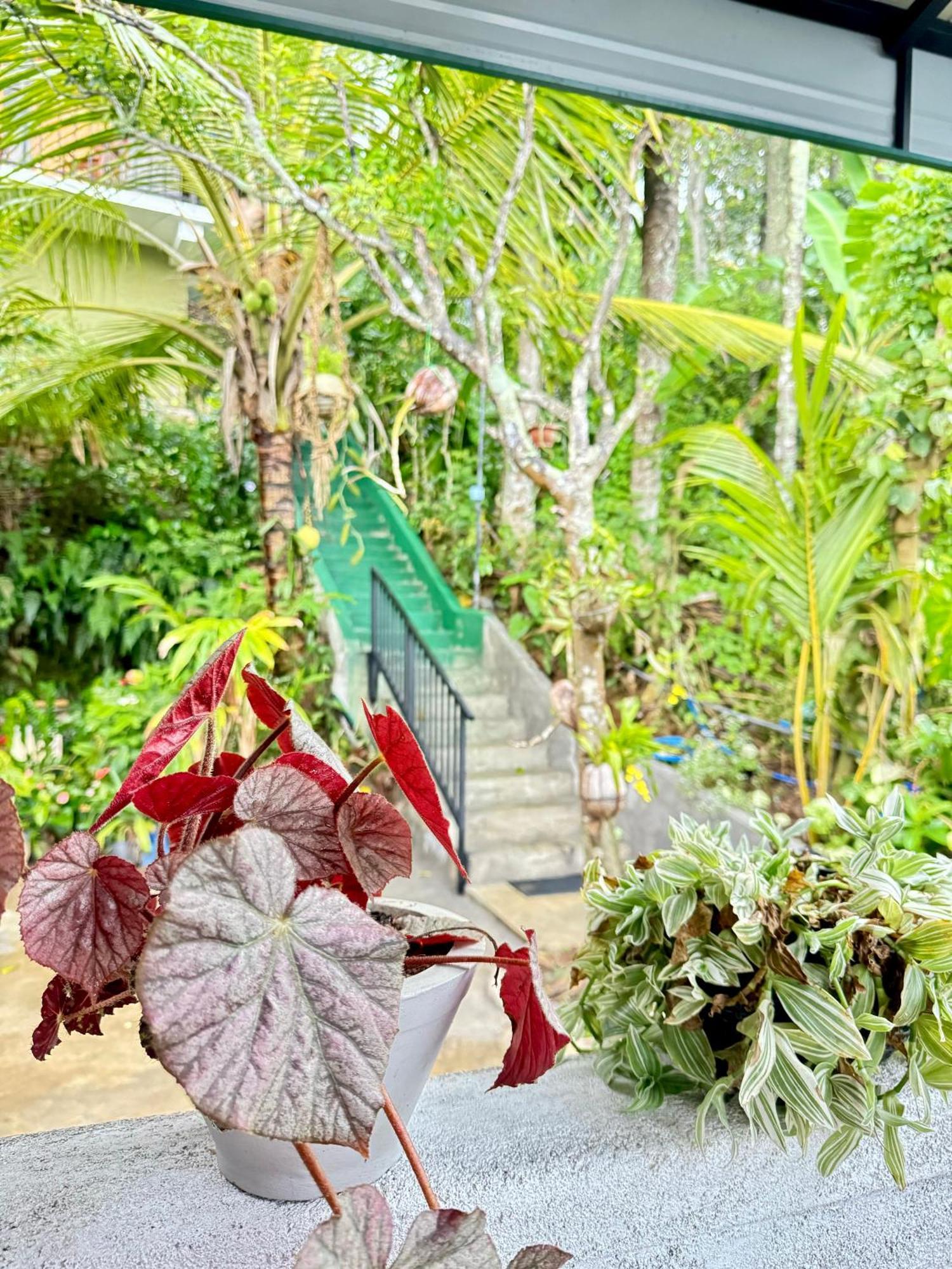 Rock View Cottage Ella Bagian luar foto